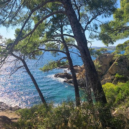 Evasion Nature A Cap Esterel Jardin, Mer & Golf Tout Confort Saint-Raphaël Zewnętrze zdjęcie