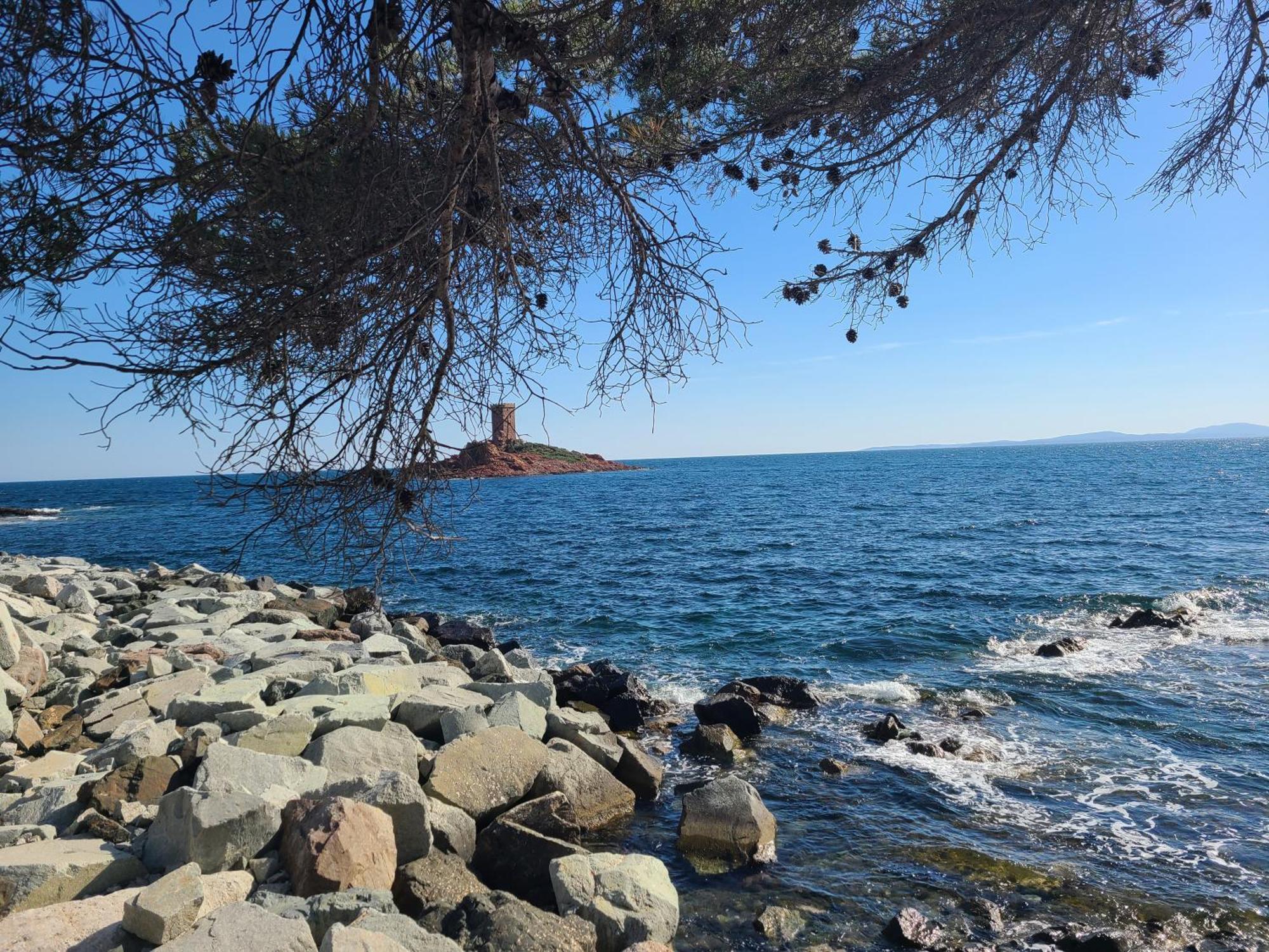 Evasion Nature A Cap Esterel Jardin, Mer & Golf Tout Confort Saint-Raphaël Zewnętrze zdjęcie