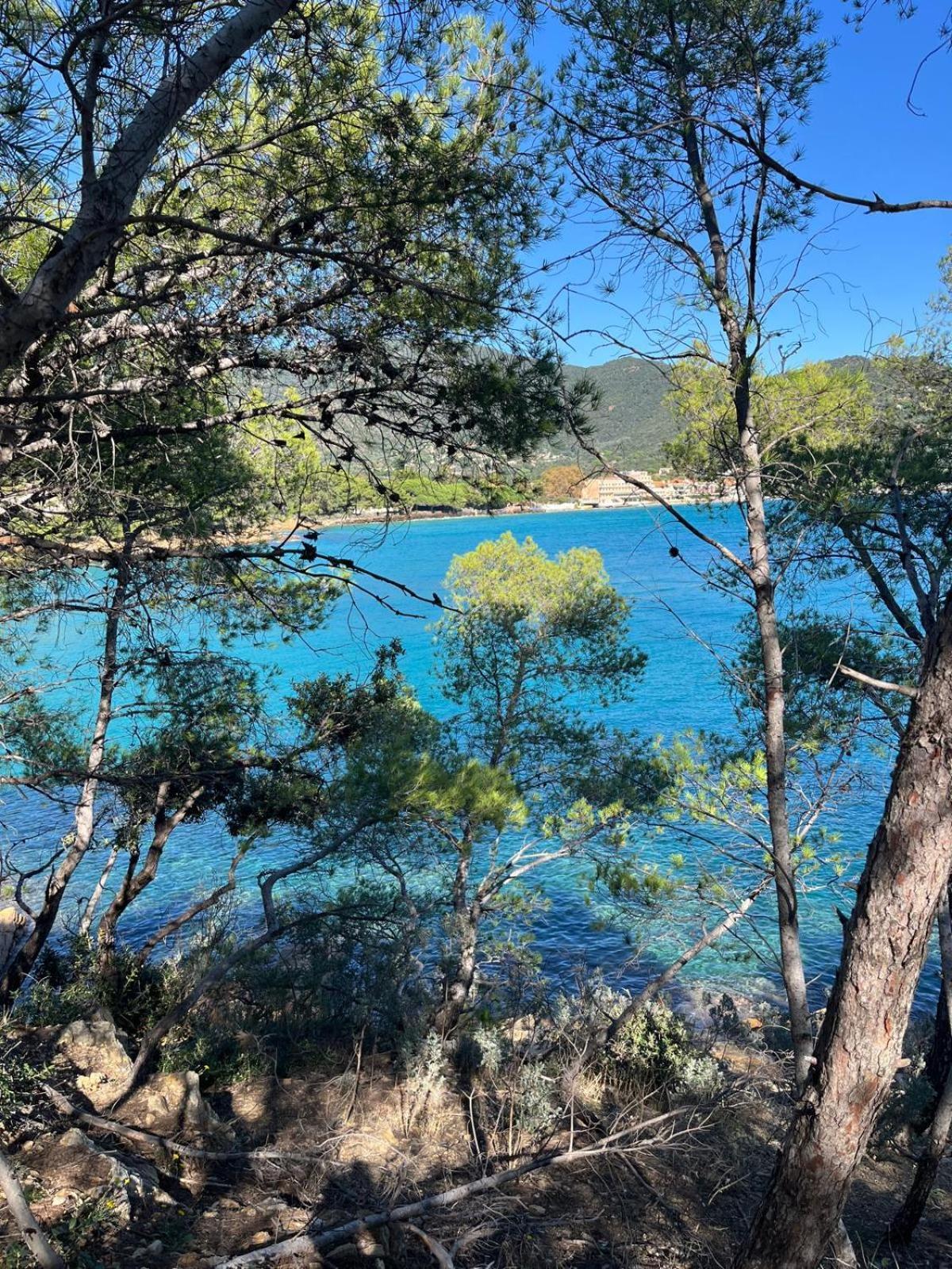 Evasion Nature A Cap Esterel Jardin, Mer & Golf Tout Confort Saint-Raphaël Zewnętrze zdjęcie